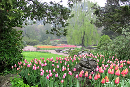 Royal Botanical Gardens, Burlington, Ontario