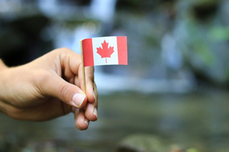 Colour man has in hand national flag of canada on wooden stick. he waves with state symbol near a ri