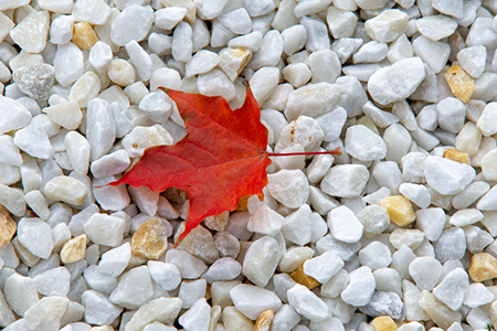 Maple leaf on white stones