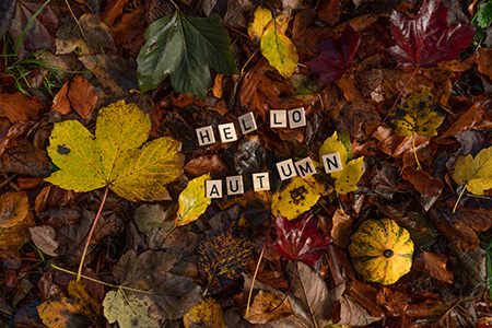 Composition of autumn leaves with Hello Autumn text