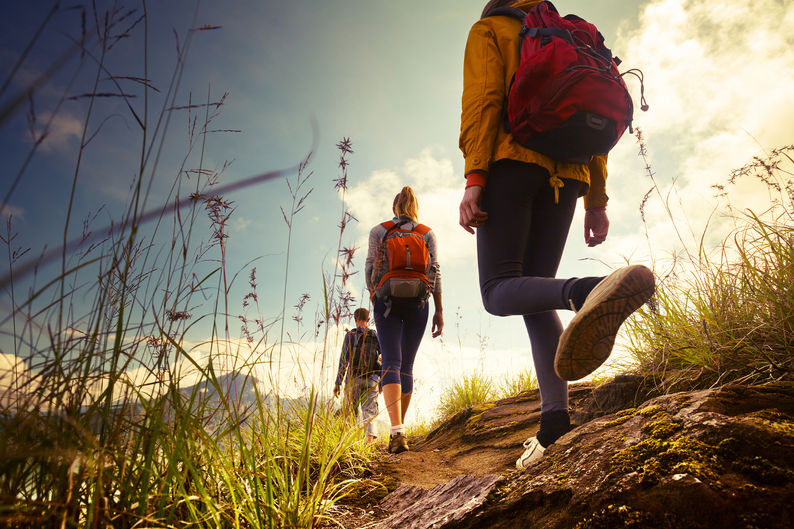 Group of hikers walking in mountains