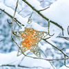 Star shaped Christmas ornaments with gold sparkle hanging on a tree in a forest