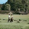 Bride and Groom in Traditional Cambodian Wedding Clothing Walking on a Field