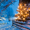 View of illuminated christmas tree in snow