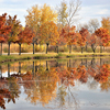 Beautiful fall trees lining, reflecting on the pond!
