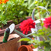 close up of hands planting flowers