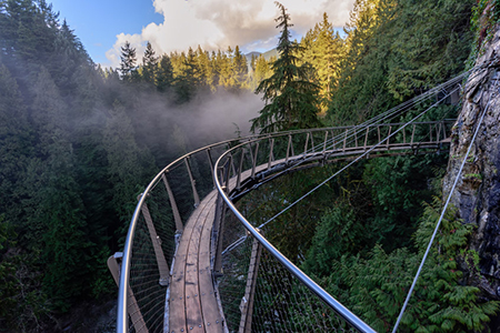 a view from above from the suspension bridge on rough streams of a mountain river among green forest