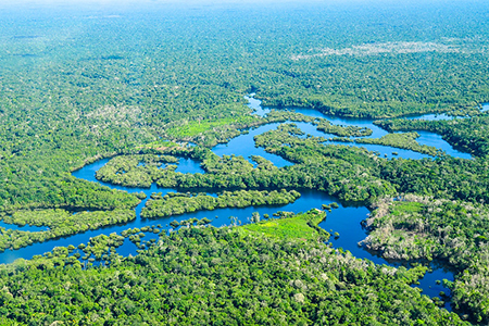 Aerial view of the Amazon 