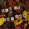 Composition of autumn leaves with Hello Autumn text