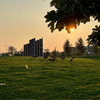 sunset in summer evening