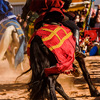 Detail of the legs of galloping horses adorned as medieval mounts mounted by knights during a festiv