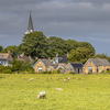 countryside; church houses grassland and sheep under cloudy sky