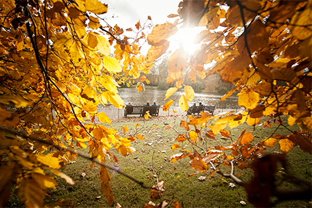 Twigs with yellow leaves and bench with people near water