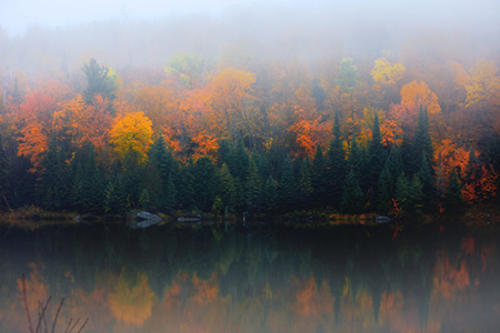 Fall colours - trees over lake