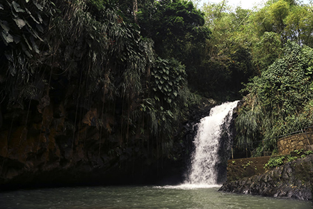 Beautiful waterfall in Caribbean islands St. George's, Grenada