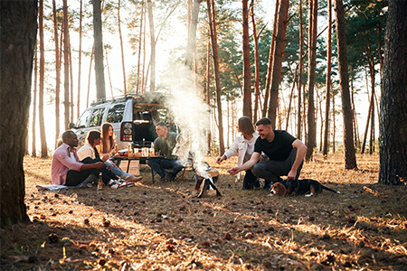 Group of friends are together in the forest by bonfire in the evening