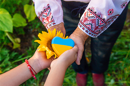 Heart in hands in a field of sunflowers in an embroidered shirt