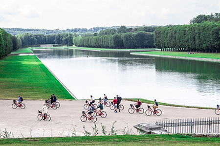 Group of Cyclists