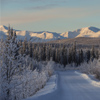 A view on every corner when traveling south on the Robert Campbell Highway to Watson Lake, Yukon. Ov