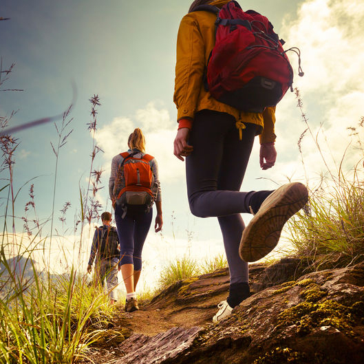 Group of hikers walking in mountains