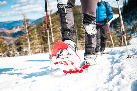 Two climbers in snowshoes are in the mountains in the winter against fir trees, climbing two men wit