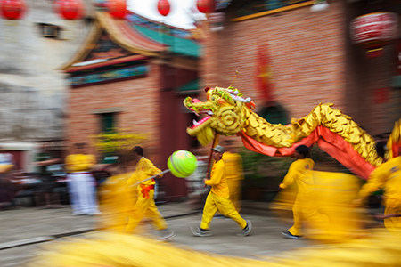 Vietnam - January 22, 2012: The Dragon Dance Artists during the celebration of the Vietnamese New Ye