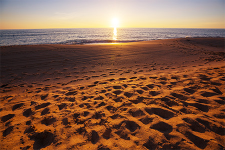 Amazing beach sunset