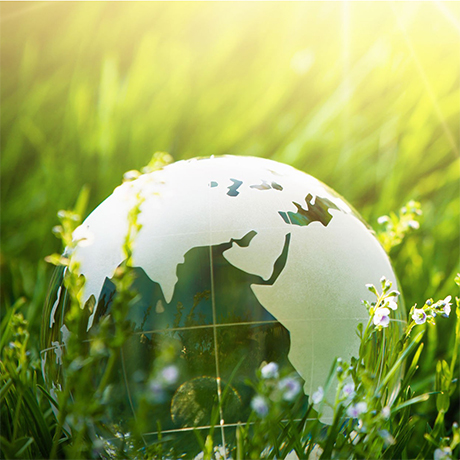 Close-up of a crystal globe on a green lawn.