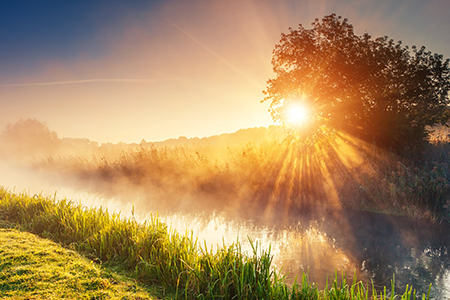 Fantastic foggy river with fresh green grass in the sunlight. sun beams through tree. dramatic color