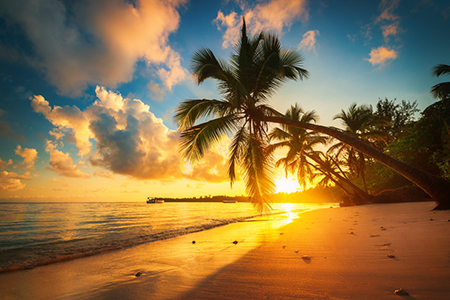 Tropical beach in Punta Cana, Dominican Republic