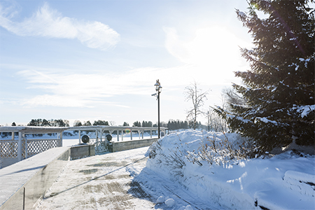 Scenic image of a street in winter