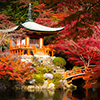 Daigoji Temple, Kyoto Japan