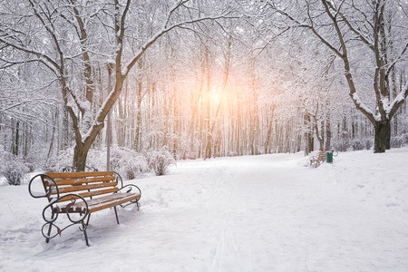 Snowy scene with bench