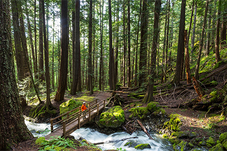 Hiker near beautiful waterfall in Canadian mountains