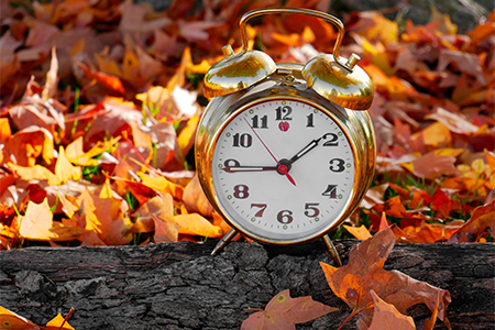 An old fashion, alarm clock set on a log surrounded by fallen, autumn-colored leaves