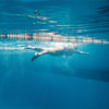 underwater picture of male swimmer swimming in swimming pool