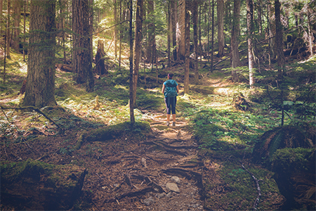 Female hiker on the Upper Myra Falls Trail, Strathcona Provincial Park, Vancouver Island, British Co