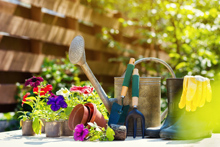 Gardening tools and flowers on the terrace in the garden. Watering can, rubber boots, garden tools, 