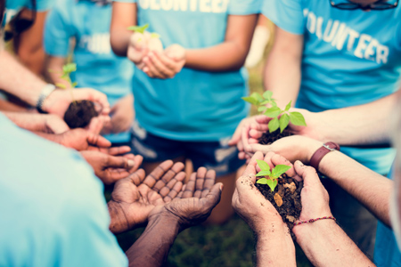 Group of volunteer with sprout for growing