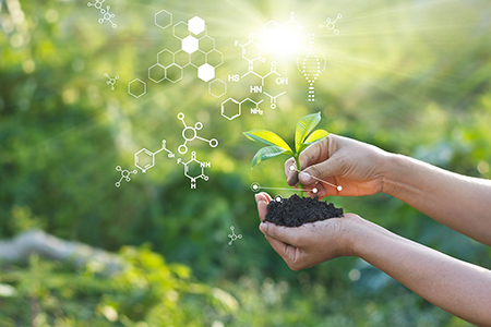 Biology laboratory nature and science, plants with biochemistry structure on green background.