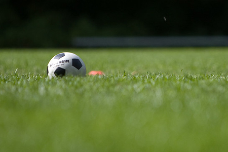 Soccer ball on grass