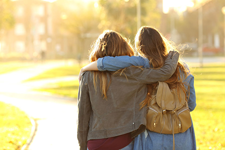 Back view portrait of two affectionate friends walking at sunset in a park