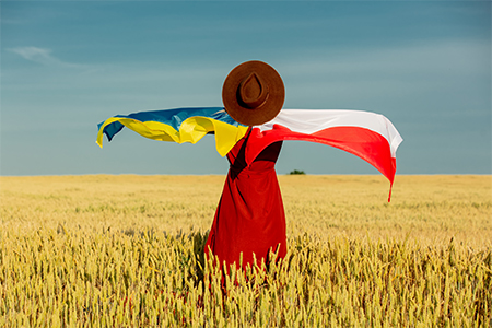 Girl with Ukraine and Poland flags in wheat field and blue sky