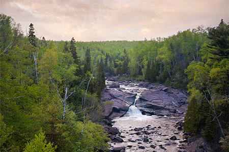 High angle view of waterfall and trees in a national park