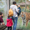 A family visiting zoo