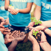 Group of volunteer with sprout for growing