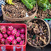 Fruits and vegetables in the local market i