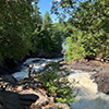 water and trees in algonquin park