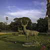 Vadodara, India - November 16, 2012: An exterior of the Lakshmi Vilas Palace in the state of Gujarat