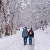 walking on a snowy trail